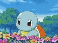 Pokemon Squirtle GIF - Pokemon Squirtle Flower - GIF 탐색 및 공유