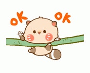 Raccoon Sticker Ok Sticker Sticker - Raccoon Sticker Ok Sticker Okay Sticker - GIF 탐색 및 공유