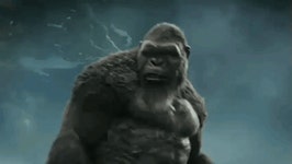 Kong GIF | Tenor