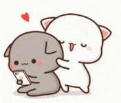 Cat Hug GIF - Cat Hug - GIF 탐색 및 공유