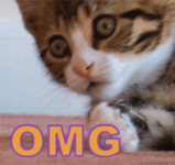 Omg Wow GIF - Omg Wow - GIF 탐색 및 공유