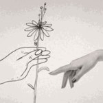 Flower For You John Lennon GIF - Flower For You John Lennon Love Song - GIF 탐색 및 공유