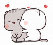 Cute Cat Couple GIF - Cute Cat Couple - GIF 탐색 및 공유