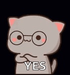 Goma Cat Nod GIF - Goma Cat Nod - GIF 탐색 및 공유