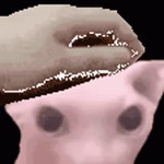 Bingus Pet The Bingus GIF - Bingus Pet The Bingus Cat - GIF 탐색 및 공유