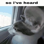So Ive Heard Kitty GIF - So ive heard Kitty Cat - GIF 탐색 및 공유