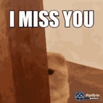 Kitties Miss You GIF - Kitties Miss you - GIF 탐색 및 공유