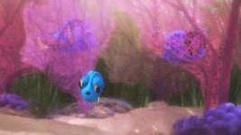 Baby Dory Covered Eyes GIF - Dory Findingdory - GIF 탐색 및 공유