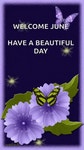 Happy June First Day Of The Month GIF - Happy June First Day Of The Month Have A Beautiful Day - GIF 탐색 및 공유