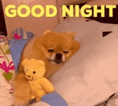 Good Night Dog GIF - Good night Dog Puppy - GIF 탐색 및 공유