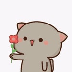 Gif Gatinho GIF - Gif Gatinho - GIF 탐색 및 공유