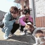 Treasure Treasure Meme GIF - Treasure Treasure Meme Treasure Cute - GIF 탐색 및 공유