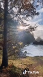 Nature Yolo GIF - Nature Yolo Beach - GIF 탐색 및 공유