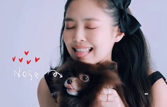 Jennie Jennie Kuma GIF - Jennie Jennie Kuma Jrnnie Pet - GIF 탐색 및 공유