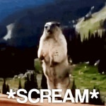 Scream Angry GIF - Scream Angry Annoyed - GIF 탐색 및 공유