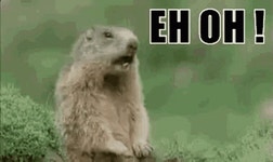 (주)에치와이오룡점 | Ehoh GIF - Ehoh - GIF 탐색 및 공유
