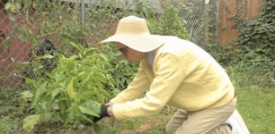 Modern Act GIF by Cloud Nothings - Find & Share on GIPHY