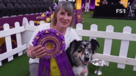 Obedience GIFs - Get the best GIF on GIPHY
