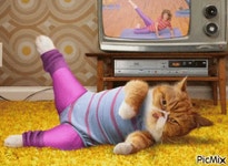 Pany sporting GIFs - Get the best GIF on GIPHY Pany Sporting GIFs - Get the best GIF on GIPHY