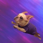 Sharper GIFs - Get the best GIF on GIPHY