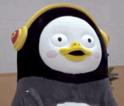 Penguins can fly GIFs - Find & Share on GIPHY Penguins Can Fly GIFs - Find & Share on GIPHY