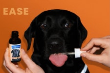 Experiencecbd GIFs - Get the best GIF on GIPHY