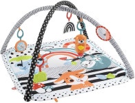 Playsets | 3 In 1 Music Grow & Glow Gym | Fisher Price