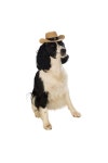 Pet Clothing | Cowboy Hat Dog Costume | Bristol Novelty