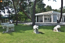 가을 숲길로 이어지는 모자(母子) 왕릉, 태릉과 강릉 | 서울시 - 내 손안에 서울 가을 숲길로 이어지는 모자(母子) 왕릉, 태릉과 강릉