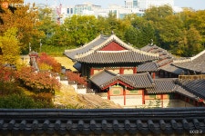 [포토에세이] 사계절 언제 봐도 아름다운 서울 고궁 | 서울시 - 내 손안에 서울