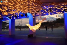 빛의 바다에서 헤엄치다! 문화비축기지 빛 전시 | 서울시 - 내 손안에 서울