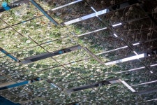 다리 아래 별천지 다락(樂)옥수 | 서울시 - 내 손안에 서울 다리 아래 별천지 다락(樂)옥수