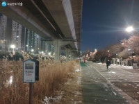 산책로야, 미술관이야? 홍제천 따라 예술 여행 | 서울시 - 내 손안에 서울 산책로야, 미술관이야? 홍제천 따라 예술 여행