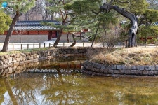 역대 왕에게 제사를 지내던 종묘를 찾다 | 서울시 - 내 손안에 서울