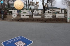 철길 따라 봄 내려온다! 경의선·경춘선 숲길 | 서울시 - 내 손안에 서울 철길 따라 봄 내려온다! 경의선·경춘선 숲길