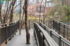 산 정상까지 무장애 나무데크길이 깔려 있다! | 서울시 - 내 손안에 서울 산 정상까지 무장애 나무데크길이 깔려 있다!