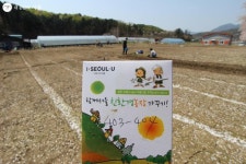 우리 가족만의 친환경 텃밭 생겼어요! 양평 교동농장 체험기 | 서울시 - 내 손안에 서울