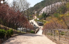 서울테마산책길 아차산 둘레길 매력 속으로! | 서울시 - 내 손안에 서울