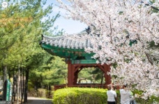 봄기운 가득 머금은 청운문학도서관 | 서울시 - 내 손안에 서울 봄기운 가득 머금은 청운문학도서관