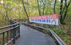누구나 숲 속을 걸어요! 관악산 무장애숲길 | 서울시 - 내 손안에 서울 누구나 숲 속을 걸어요! 관악산 무장애숲길