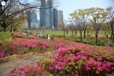 요즘 핫하다는 보라매공원 혼공 즐기기! | 서울시 - 내 손안에 서울 요즘 핫하다는 보라매공원 혼공 즐기기!