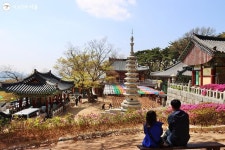 치유의 숲길, 호암산 늘솔길 | 서울시 - 내 손안에 서울