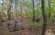 누구나 숲 속을 걸어요! 관악산 무장애숲길 | 서울시 - 내 손안에 서울 누구나 숲 속을 걸어요! 관악산 무장애숲길