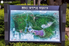 예쁜 봄에 풍덩! 불암산 철쭉동산 | 서울시 - 내 손안에 서울