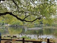 보라매공원, 나 홀로 백배 즐기기! 大성공 | 서울시 - 내 손안에 서울 보라매공원, 나 홀로 백배 즐기기! 大성공