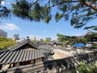 ‘남산골한옥마을’에서 자연에 취하다 | 서울시 - 내 손안에 서울