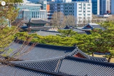감탄을 부르는 창경궁의 계절 풍경 | 서울시 - 내 손안에 서울 감탄을 부르는 창경궁의 계절 풍경