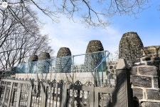 서울 산책 가볼까? 남산공원에서 장충단공원까지 | 서울시 - 내 손안에 서울 서울 산책 가볼까? 남산공원에서 장충단공원까지