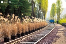 서울의 시간이 깃든 경춘선 숲길을 걸어요! | 서울시 - 내 손안에 서울