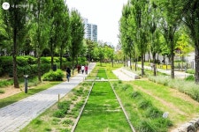 5월 걷기 딱 좋은 이곳! 경의선숲길 | 서울시 - 내 손안에 서울 5월 걷기 딱 좋은 이곳! 경의선숲길 